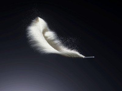 Feather 3d animation motion graphics