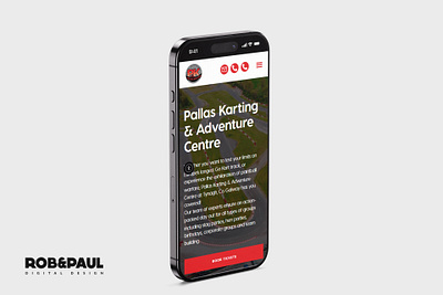 Pallas Karting design graphic design ui ux websitedesign