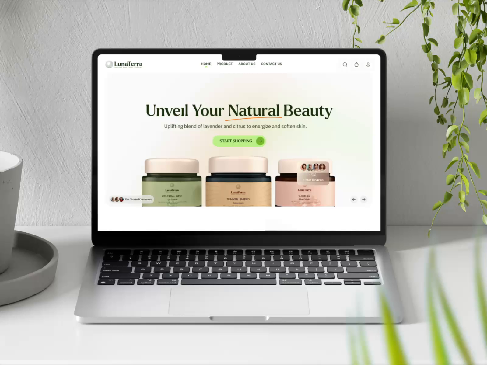 Example of Conversion Driven Website Design + Dev