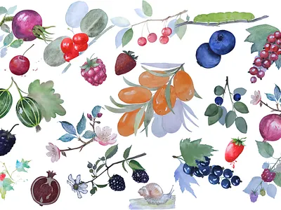 Very berry collection berries botanical art botanical illustration cottagecore cozy art food illustration fruit illustration handdraw illustration natural style nature art nature illustration organic illustration pattern illustration print design soft colors sweet design textile design watercolor inspired