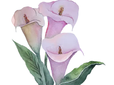 Magical Flowers art of nature botanical art botanical drawing colorful flora design floral illustration flower collection flower fairy tales handdrawn flawers illustration art magical flora nature inspired romantic florals soft colors stock illustration watercolor flowers whimsical floras