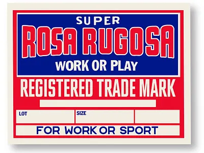 Rosa Rugosa Label branding graphic design logo