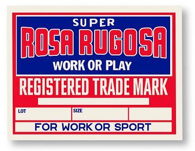 Rosa Rugosa Label branding graphic design logo