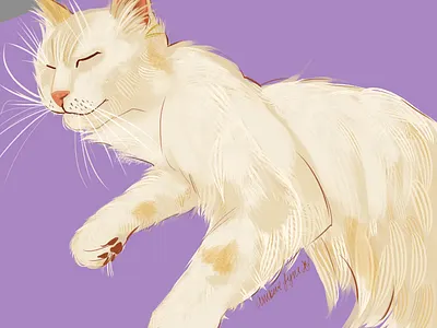 In the style of CatWheezie - My cat adobe animal catwheezie illustration painting practice