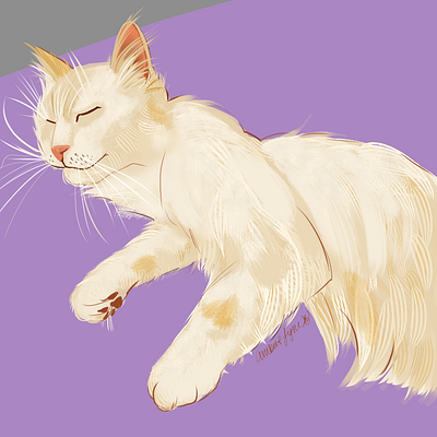 In the style of CatWheezie - My cat adobe animal catwheezie illustration painting practice