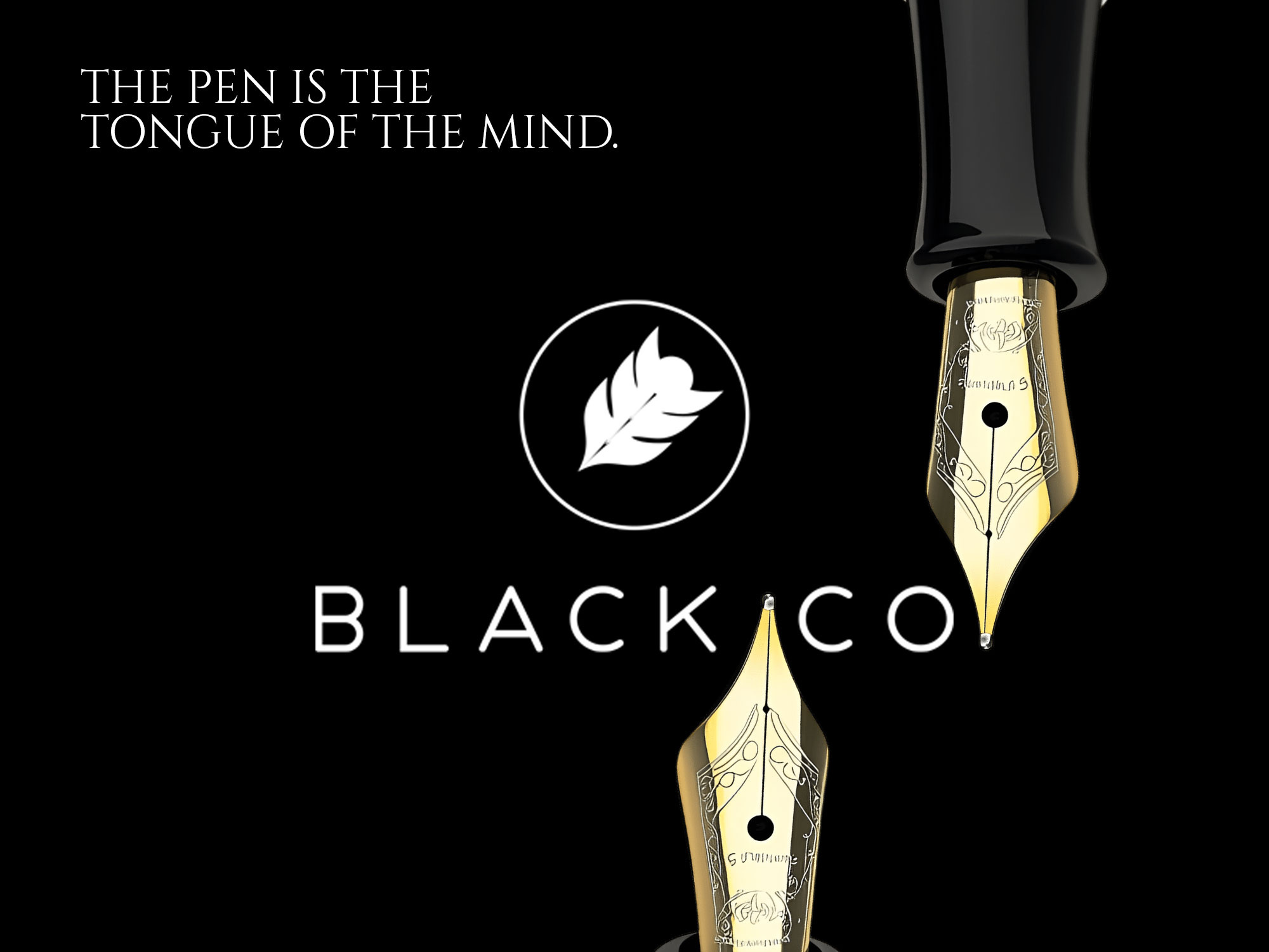 Visual Identity - Black Co brand designer brandidentitydesign branding logo logo designer logobranding logodesign packagingdesign penbranding productbranding saas logo startupbranding startuplogo visualidentity