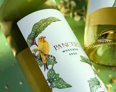 vine design branding design illustration