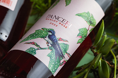 vine design branding design illustration