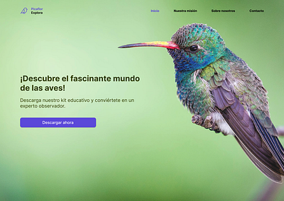 Day 51 Press Page - Daily UI Challenge dailyui figma ui