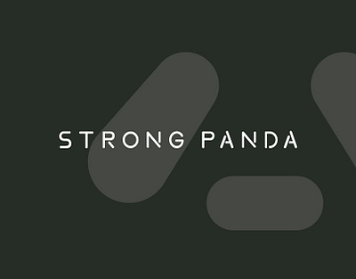 STRONG PANDA 大力熊猫品牌视觉设计 branding color font logo vi