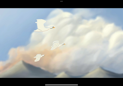 Bird animation animation branding graphic design motion graphics