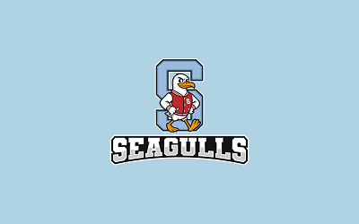 Seagulls Mascot Logo Design cartoon cartoon logo graphic design illustration logo logo design mascot