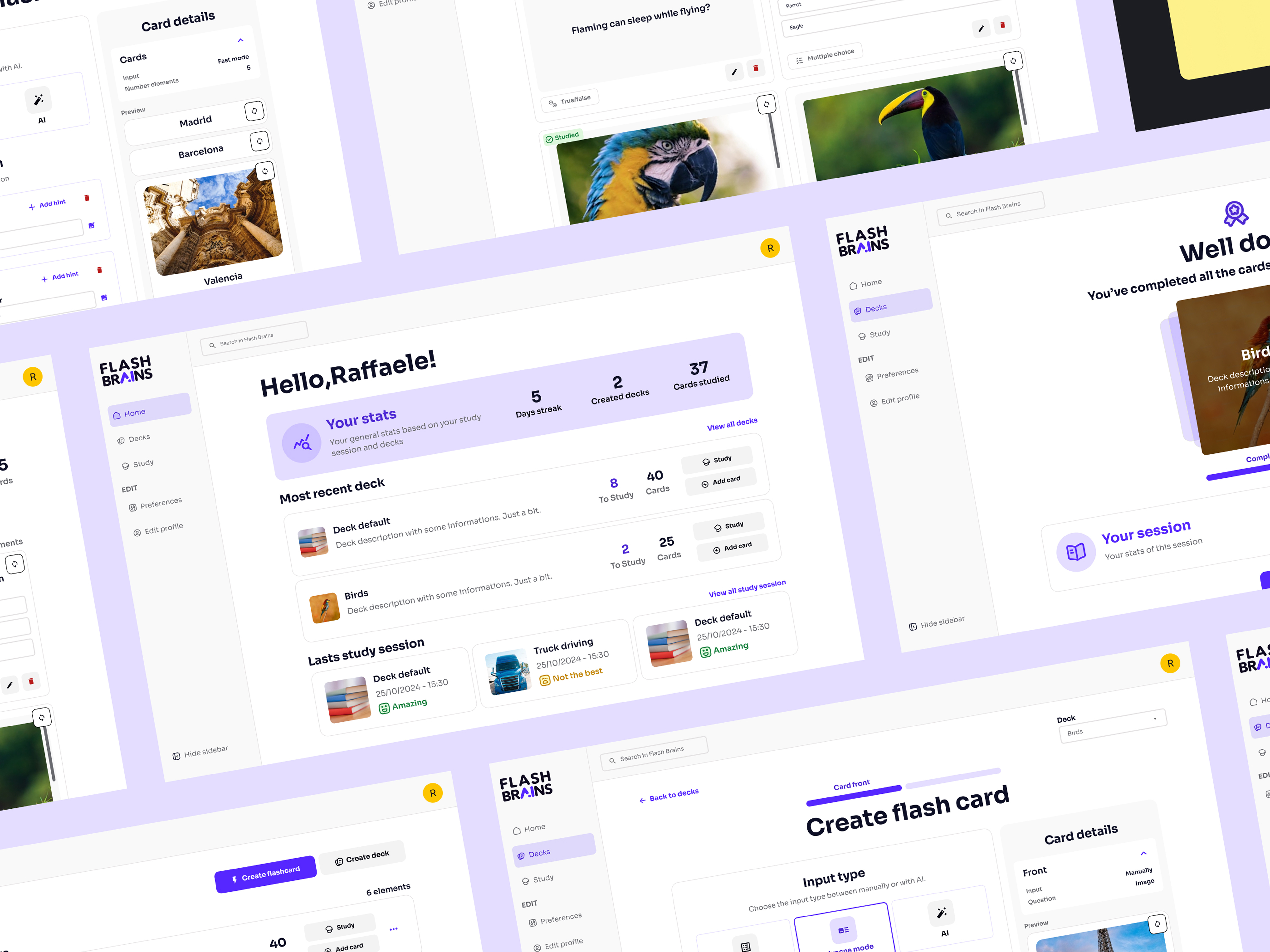 Example of Flash Brains - AI Powered Flashcard Platform
