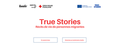 French Red Cross - Web project Presentation canva product design web