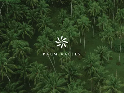 Palm Valley Logo Design & Branding branding graphic design logo