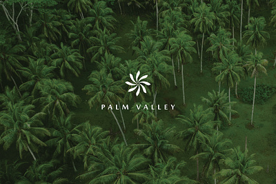 Palm Valley Logo Design & Branding branding graphic design logo