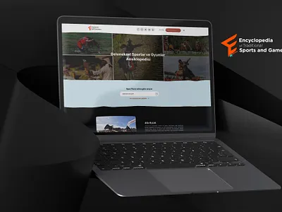 Encyclopedia of Traditional Sports & Games Website front end design front end development frontend design ui website website design