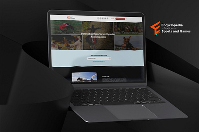 Encyclopedia of Traditional Sports & Games Website front end design front end development frontend design ui website website design