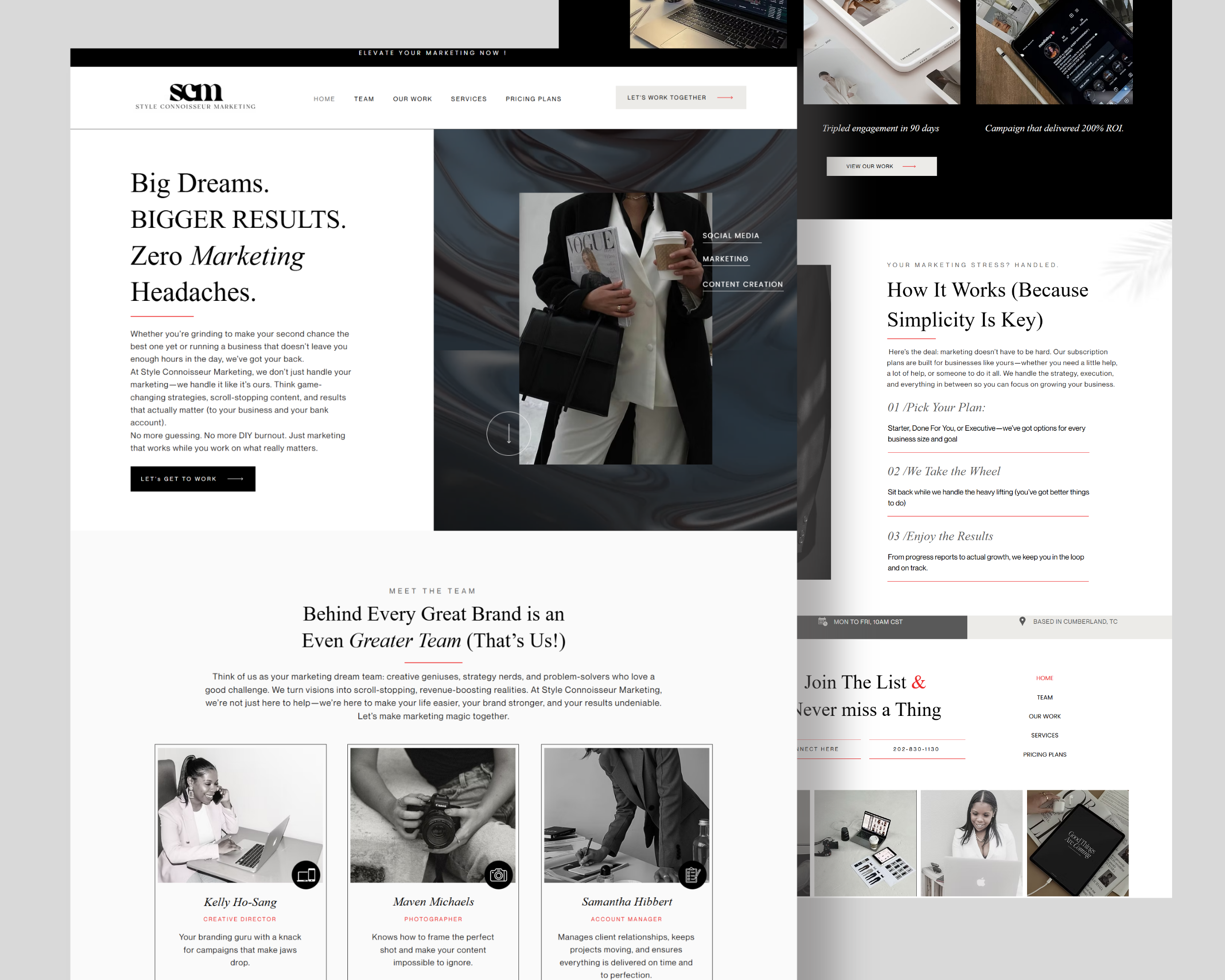 Example of Landing Page Design For Word Press 