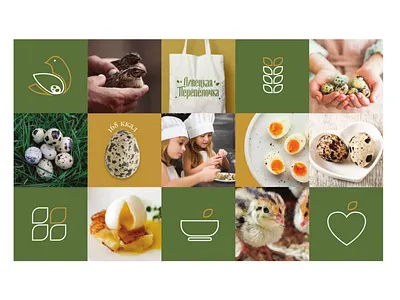 Липецкая перепелка design graphic design illustration logo