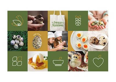 Липецкая перепелка design graphic design illustration logo