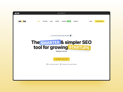 Seotic Home home landing seo ui