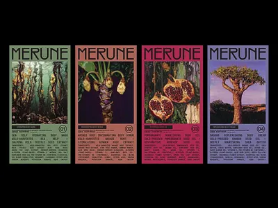 Botanical Skincare Packaging Design beauty packaging body care clean label colorful branding editorial design label layout minimalist structure natural ingredients nature inspired organic skincare packaging design product series shelf appeal skincare branding type focused typography visual storytelling wellness branding