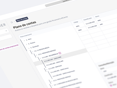 Plan of accounts - Joy Emer data organization tabela interativa
