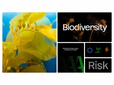 Sustainable Ratings Visual Identity System biodiversity visuals carbon identity carbon score clean interface climate branding data eco typography esg visuals ethical branding future branding green identity halftone graphics impact ratings modern branding nature inspired pixel structure risk awareness sustainable design tech ecology visual language