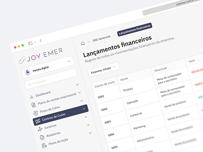Financial releases - Joy Emer categoria lançamento financial control