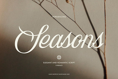Seasons script Font beautiful writing chic script classic fonts cursive fonts formal script luxury typeface seasons script font signature fonts sophisticated lettering timeless elegance vintage script