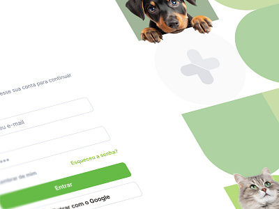 Registration and authentication - Vet da Cidade authentication login onboarding flow registration secure access