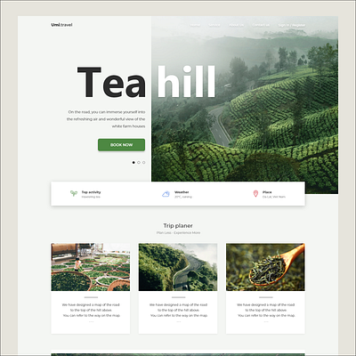 Tea Hill design landing page ui