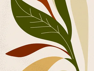 floral illustration flat graphic design illustration inspiration planets