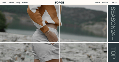 E-commers web site FORGE branding e commers ui ux web design