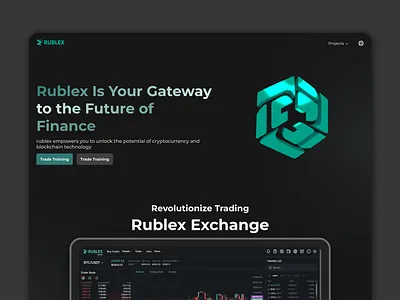Rublex hero section design ui