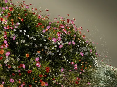"Nature" 3d 3d art after effects art direction c4d cinema4d design lighting motion design motion graphics texturing