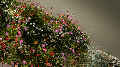 "Nature" 3d 3d art after effects art direction c4d cinema4d design lighting motion design motion graphics texturing