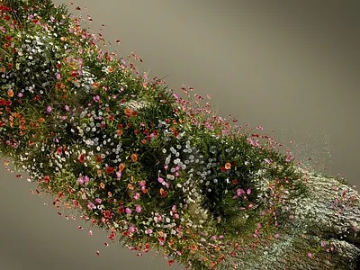 "Nature" 3d 3d art after effects art direction c4d cinema4d design lightning motion design motion graphics texturing