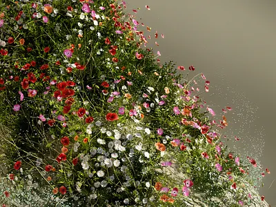 "Nature" 3d 3d art after effects art art direction c4d cinema4d design flowers graphic design illustration motion design motion graphics texture