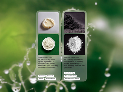 Organic Skincare Ingredients Branding beauty visuals brand clarity brand storytelling branding clean label eco identity healthy lifestyle holistic approach mineral cosmetics natural packaging nature inspired organic design product showcase raw ingredients skincare skincare branding visual identity wellness brand