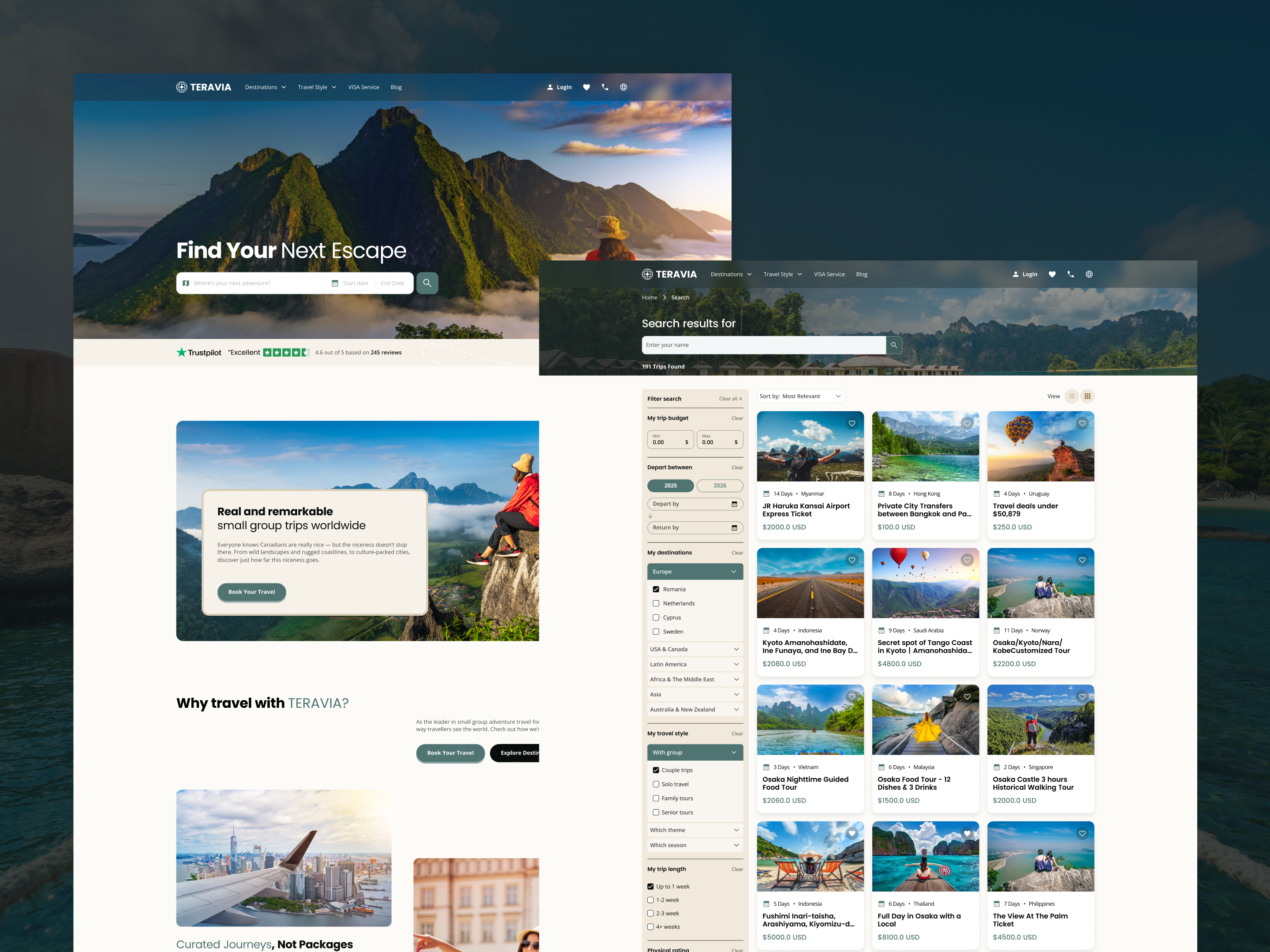 Example of Mobile App & Website Design