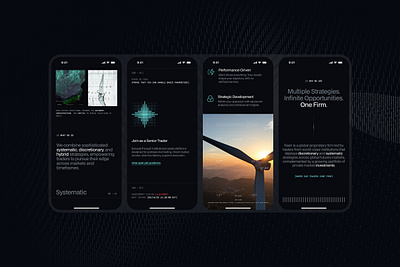 Raentrading™ Mobile UI branding studio creative studio data design finances layout mobile ui proprietary quant responsive startup trading typography ui user interface web design website