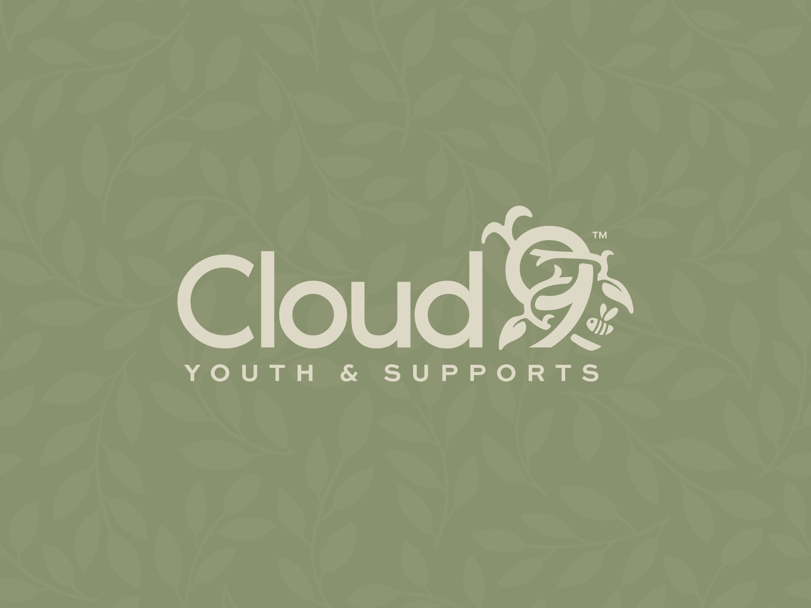 NDIS Youth Support Logo & Brand Identity for Cloud 9 brand guidelines brand identity care logo cloud 9 youth and supports community logo disability services friendly logo health logo illustration logo logo design logo mockup modern logo ndis signage stationery youth logo