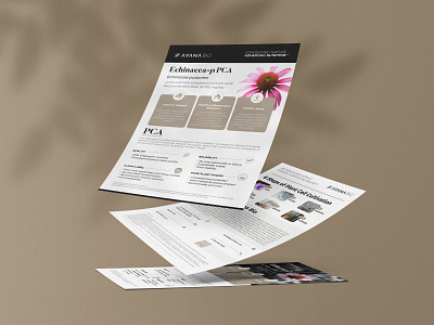 Flyer Design for PCA brand branding brochure brochure design design digital digital art flyer flyer design graphic design health healthcare identity branding marketing collateral marketing material medical modern nutrition supplement wellness