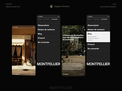 Fluximmo web design 🇫🇷🌉 branding colors dark design france graphic design grids layout logo typography ui ui design ui ux ux ux design web web design