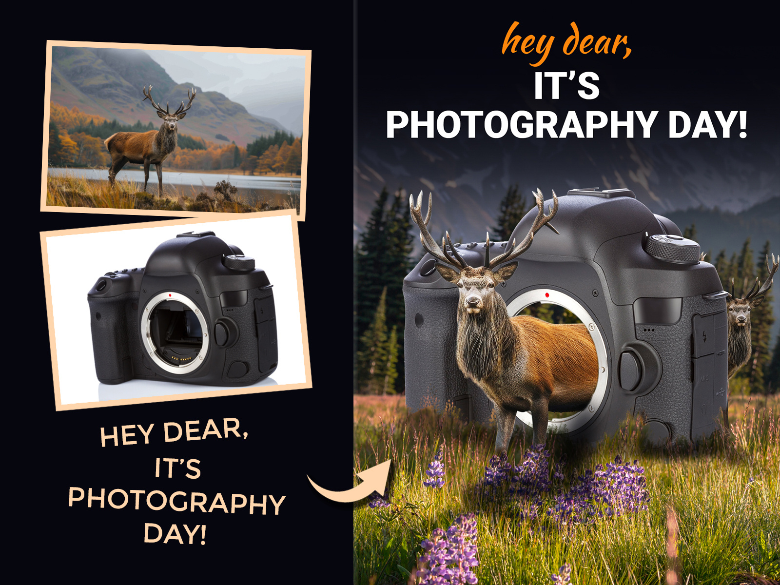 Hey dear! by Sachin on Dribbble