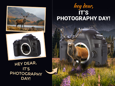 Hey dear! creative poster design design portfolio digital art graphic design photo editing photo manipulation photography photography day photos photoshop photoshop art photoshop design poster poster design visual story telling
