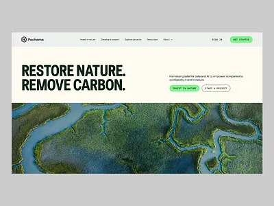 Pachama - Nature Restoration Landing Page Concept home page landing page landing page design nature nature design nature restoration pachama remooving carbon ui ui design ui ux ux design web web design website website design