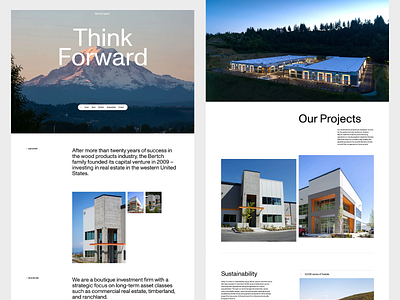 Berch Capital - Real Estate Investment Website business website investment investment website modern design portfolio website ui design user user experience user friendly ux design ux ui web web design website website design